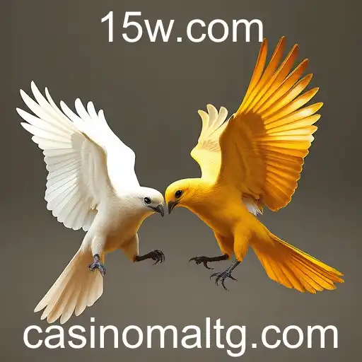 77win e o Fascinante Mundo dos Jogos de Sabong